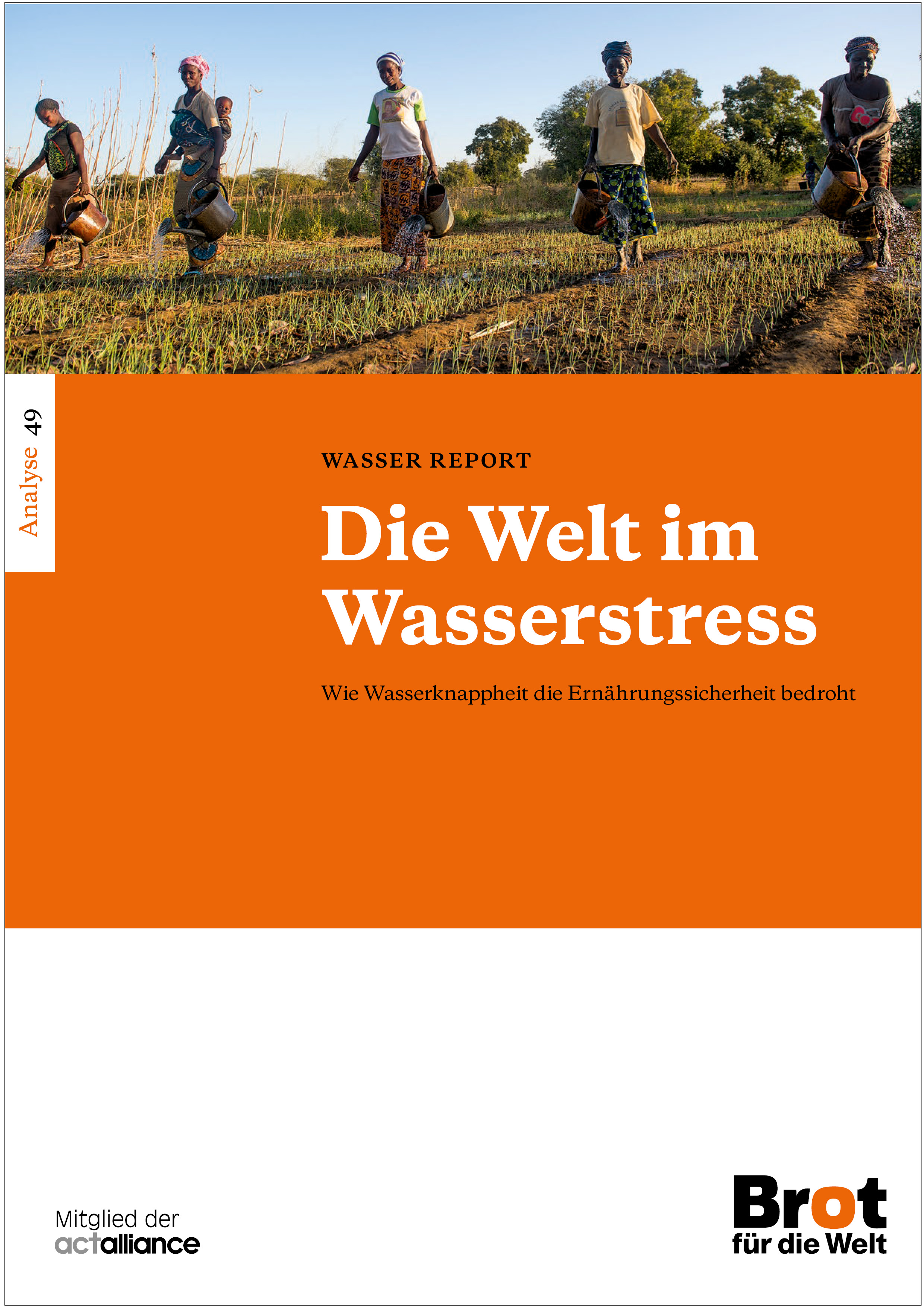 Analyse 49: Die Welt im Wasserstress